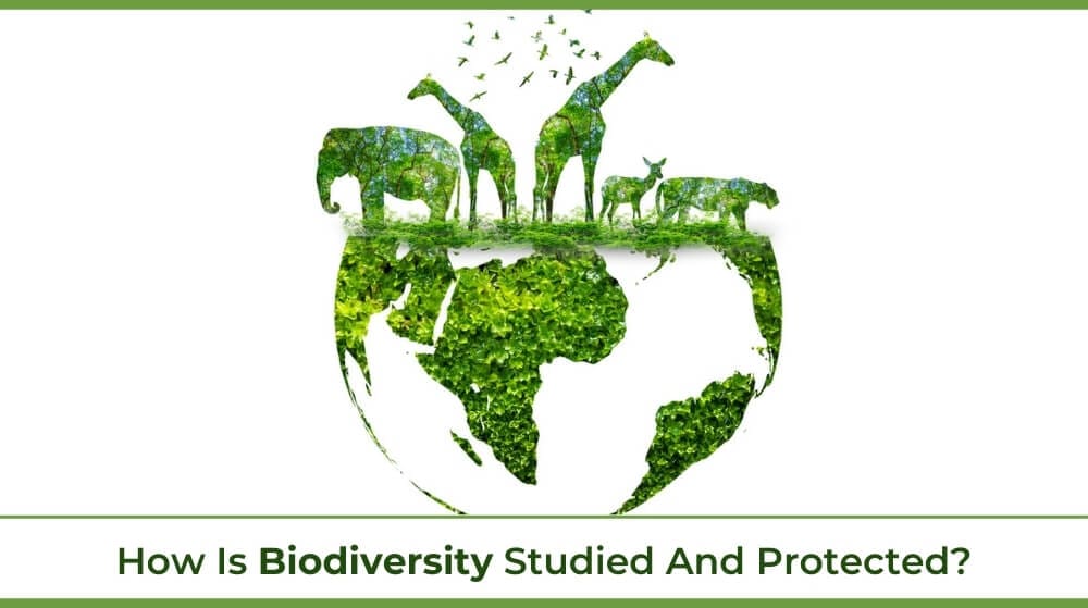 a green Earth with green wild animals on it representing biodiversity