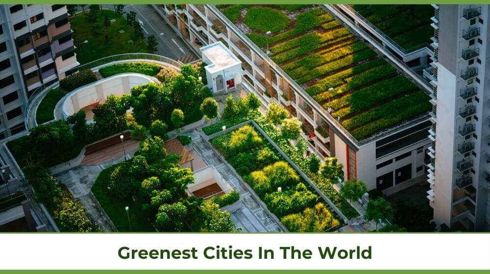 a green terrace in an environmentally friendly city