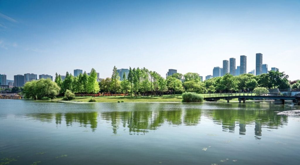 Urban Evolution: Exploring the Transformative Power of Urbanization