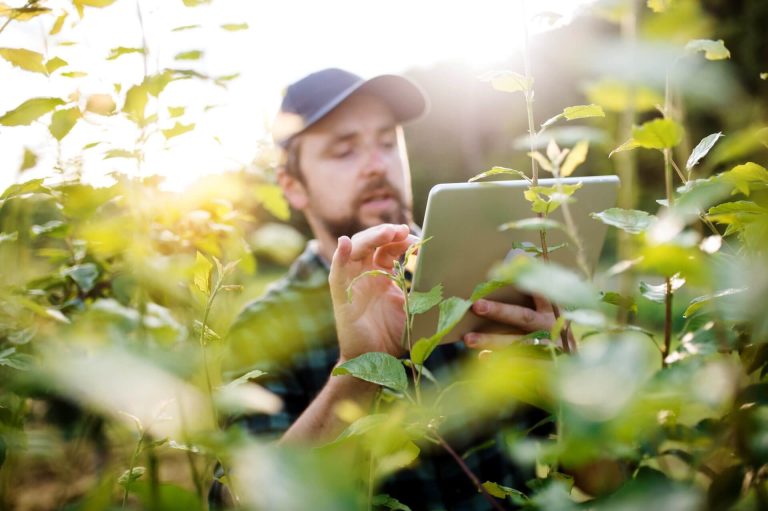 AI and Environmental Solutions