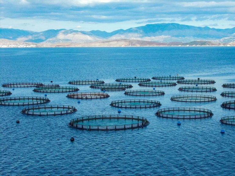 Aquaculture & Marine Sustainability 