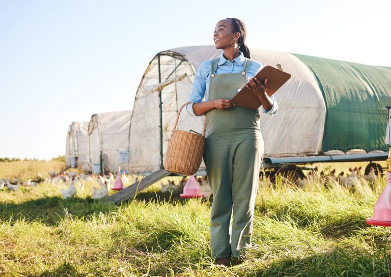chicken-farm-black-woman-and-agriculture-monitor-2023-11-27-05-15-40-utc