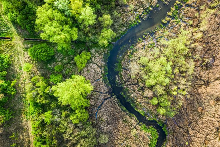 Sustainability, Conservation and Ecology
