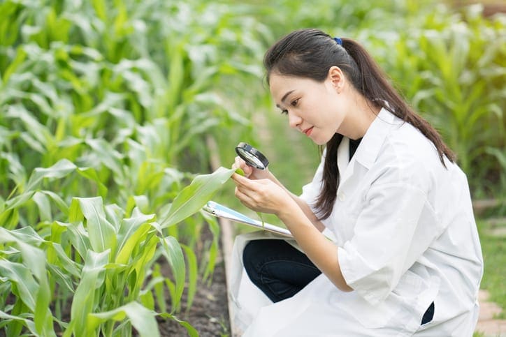learn-about-our-M.S.-in-sustainability