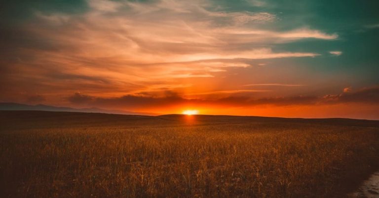 pexels-pixabay-462023-min-scaled