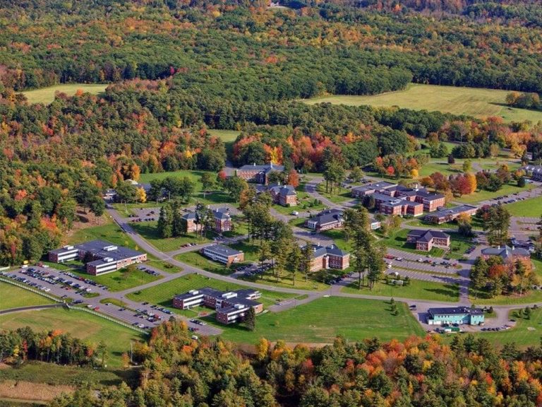 pineland-birds-eye