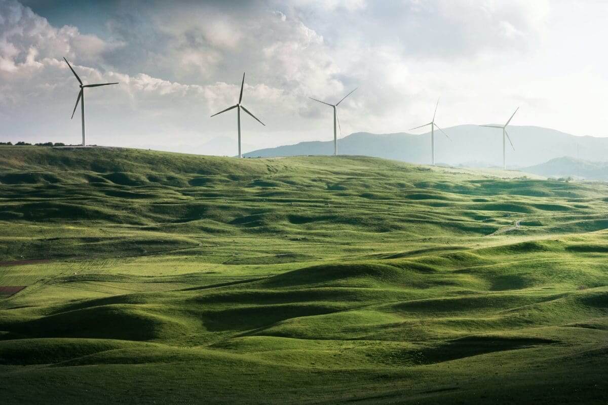 wind turbines in a field