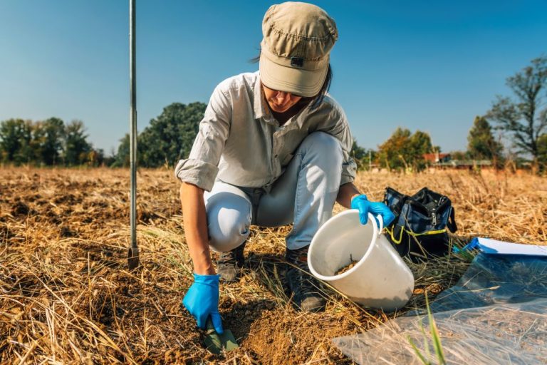 soil-fertility-analysis-female-agronomist-taking-2024-10-21-08-45-33-utc