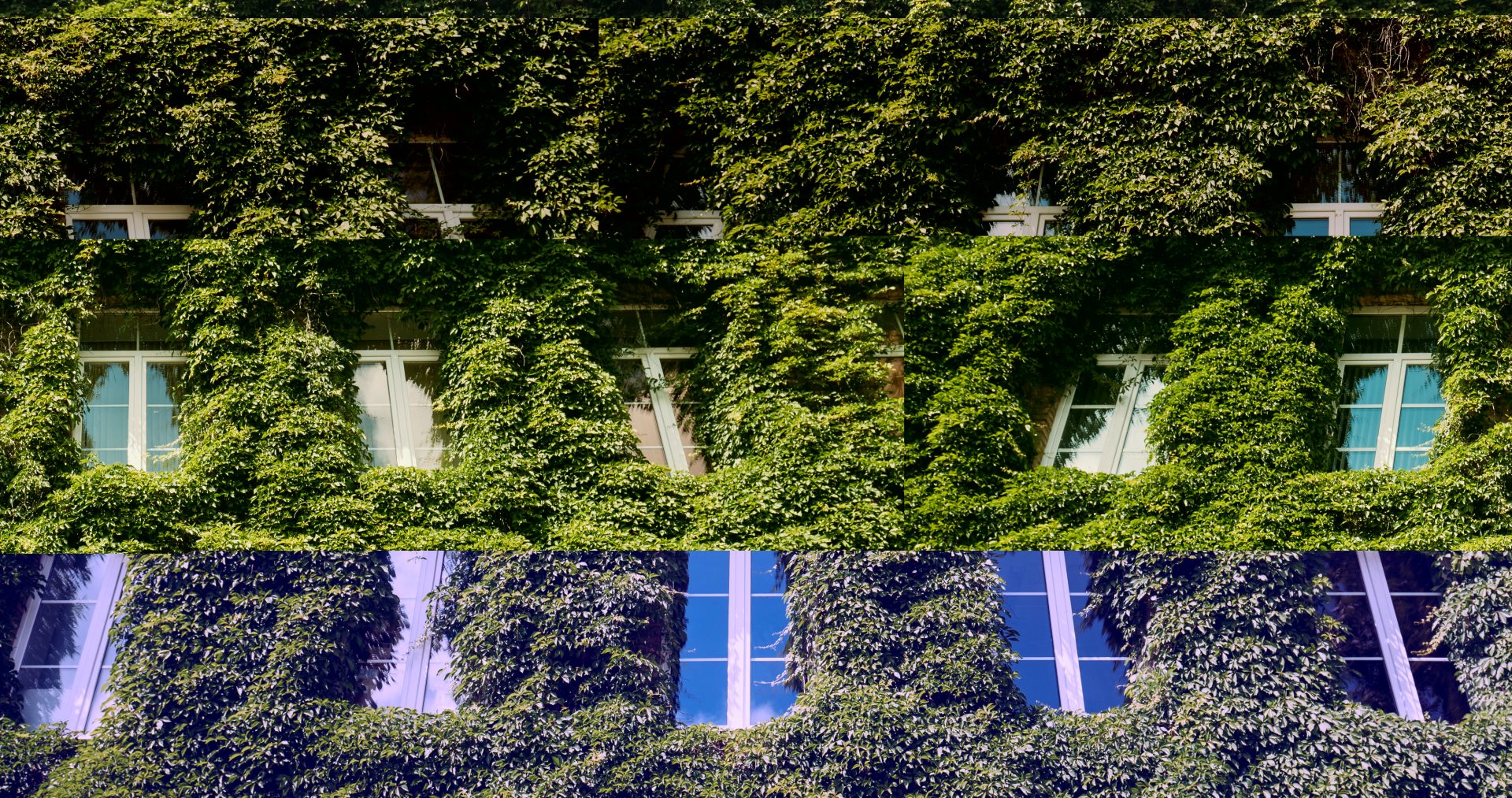 sustainable-university