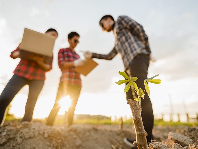 Unity Environmental University Introduces Two New Programs to Address Pressing Environmental Challenges
