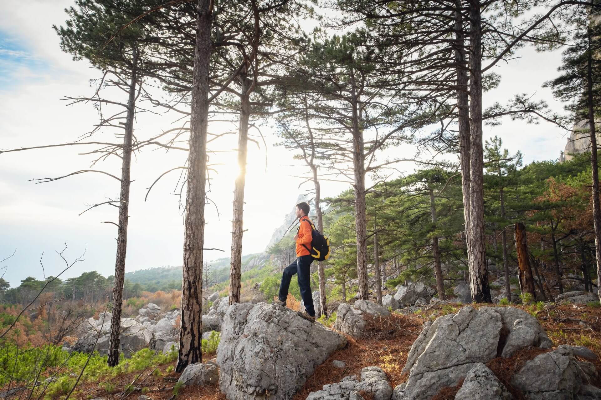 sustainable-ventures-discovery-and-hiking-nature-and-fr-2025-01-16-08-02-23-utc