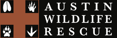 153467119_horizontal_awr_logo