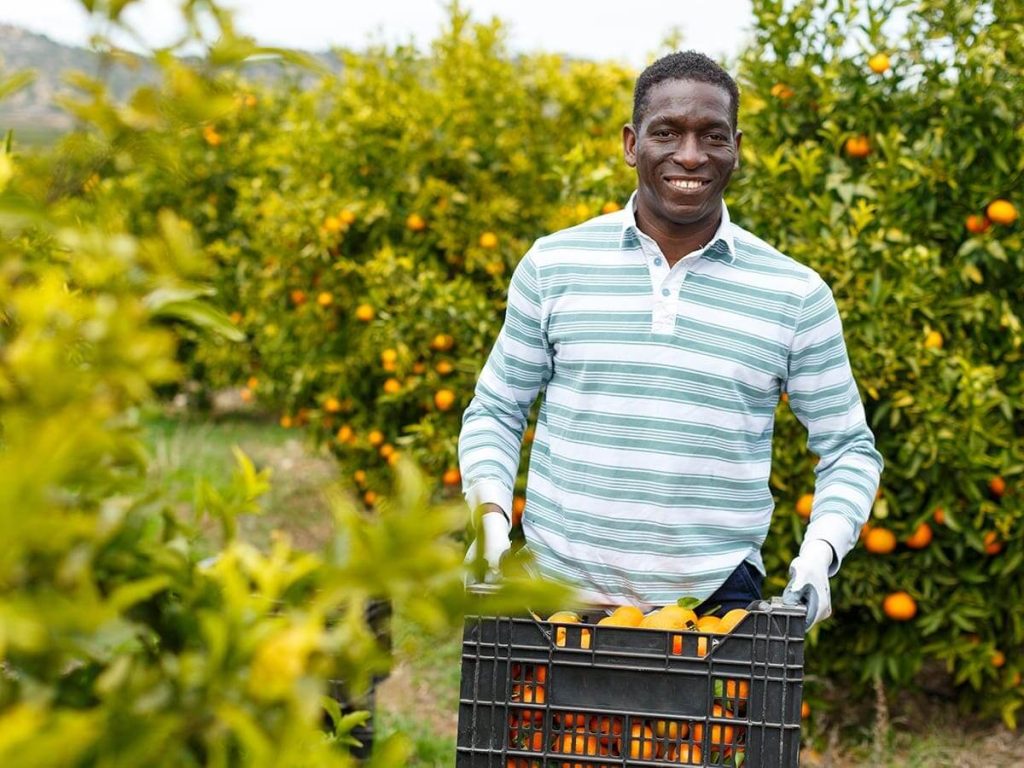 Greenhouse Manager