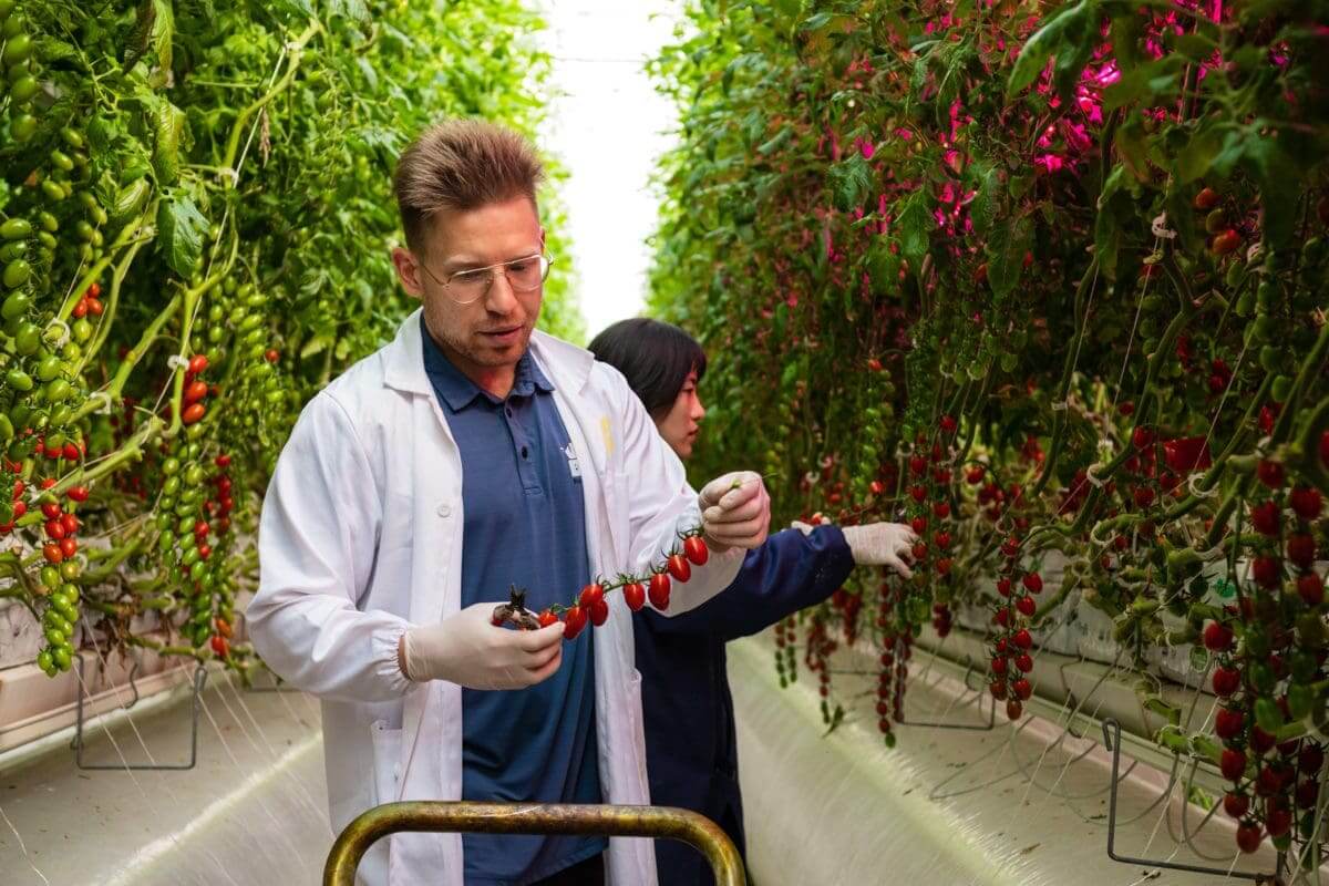 Agricultural and Food Scientist