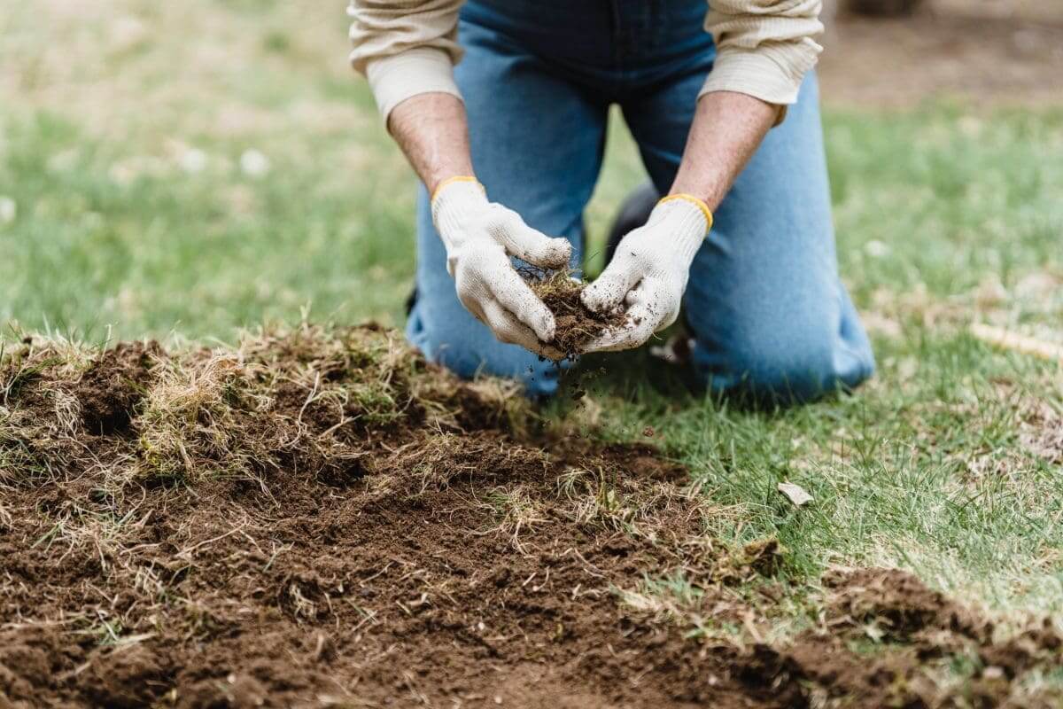 Agronomist Working