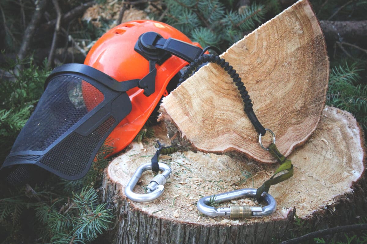 protective equipment for arborists on a tree stump