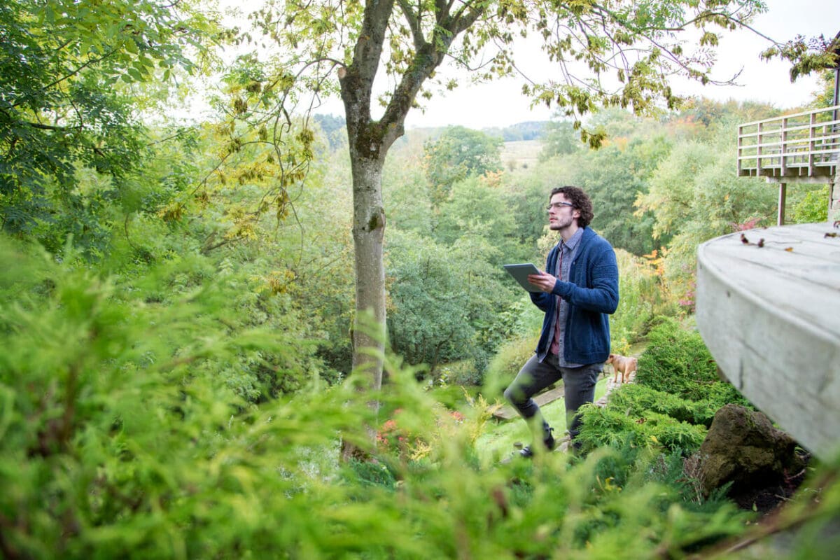 an arborist researching the soil of a tree