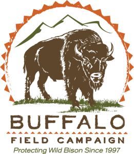 Buffalo-Field-Campaign-Color-892×1024
