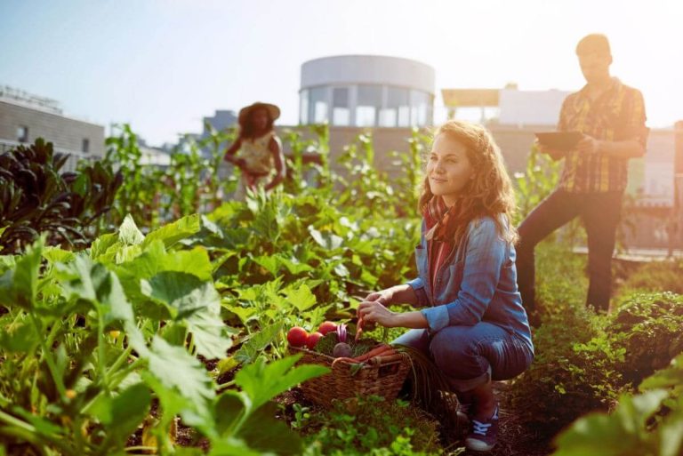 What Is Urban Farming?