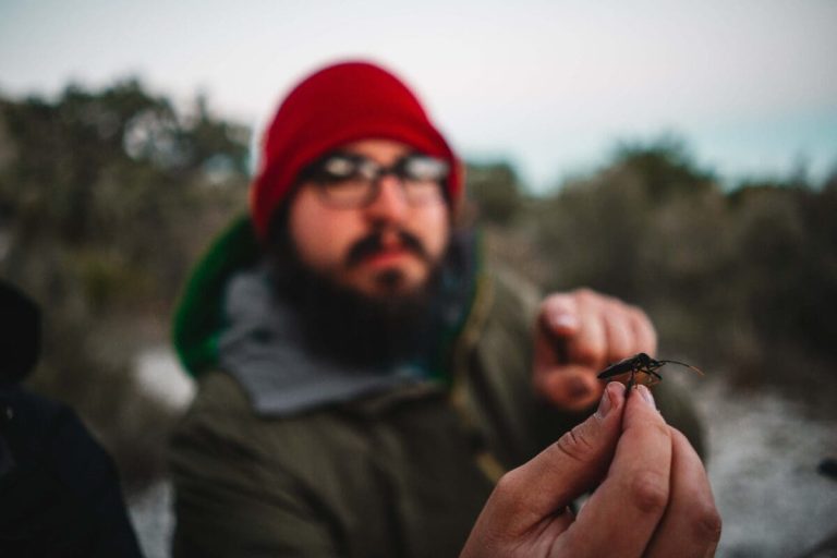 Entomologist