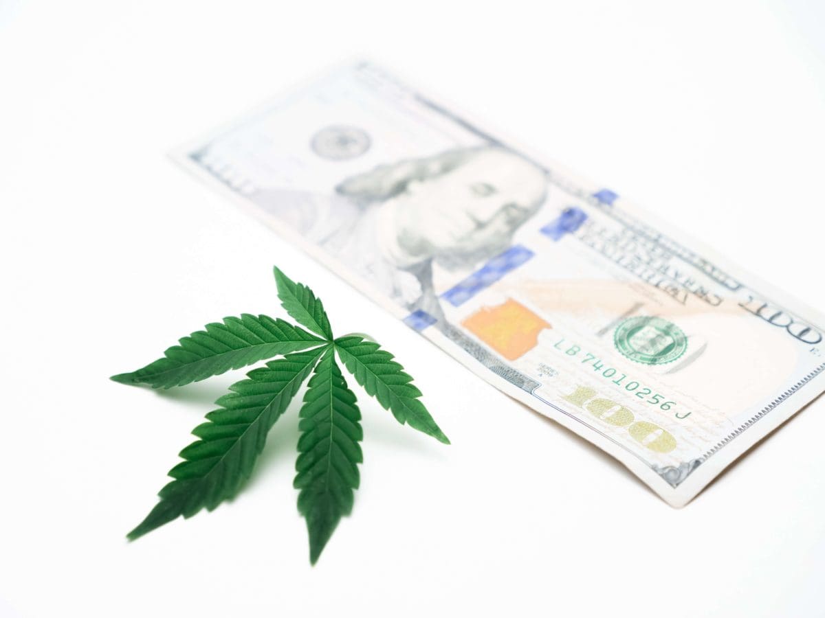 Hemp Sales Manager