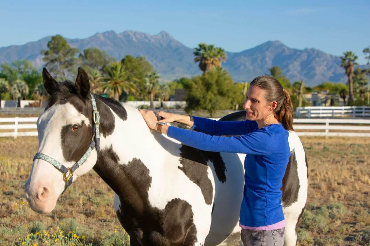 Horse Massage Therapist