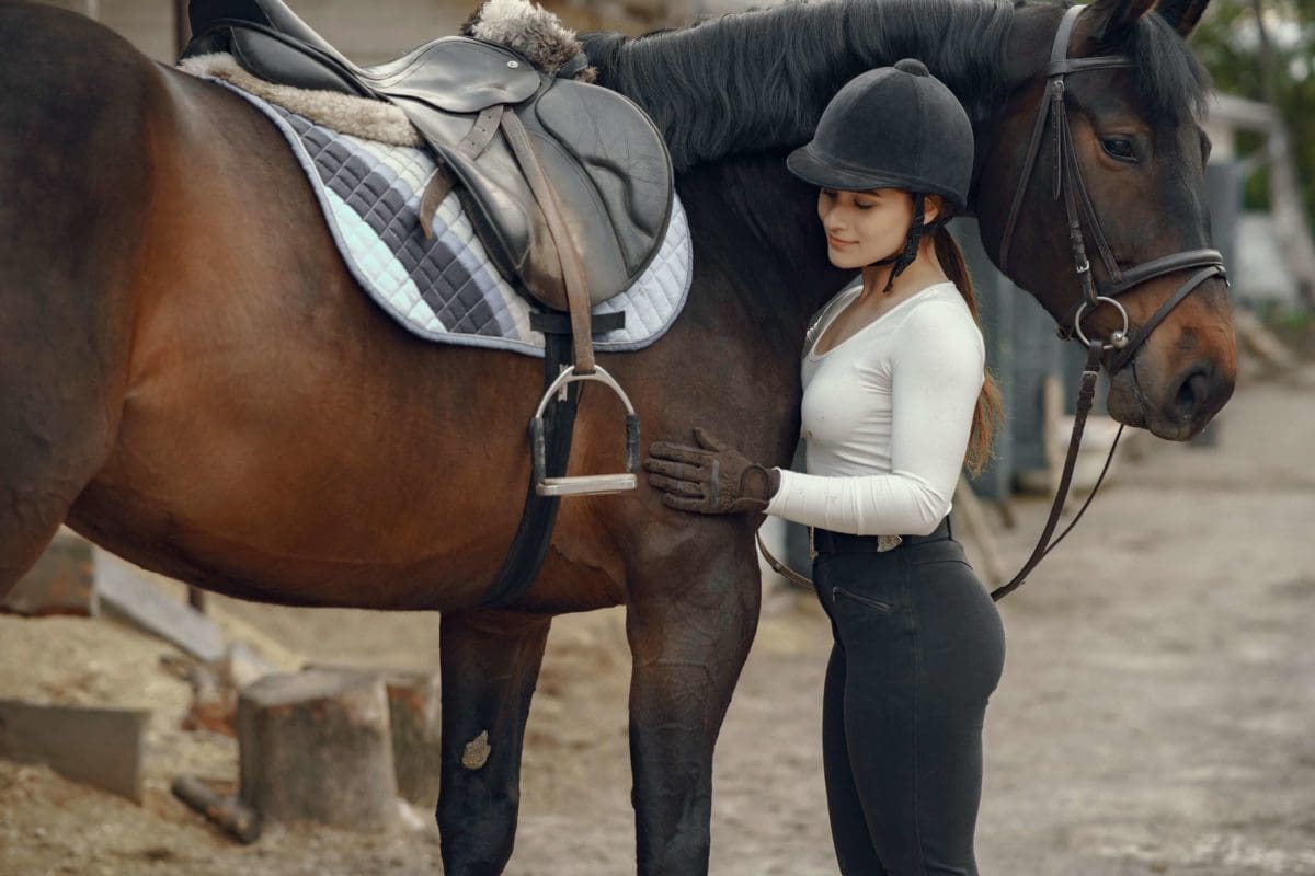 Horse Trainer