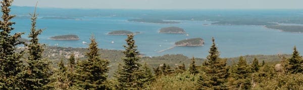 Coastal Ecologist