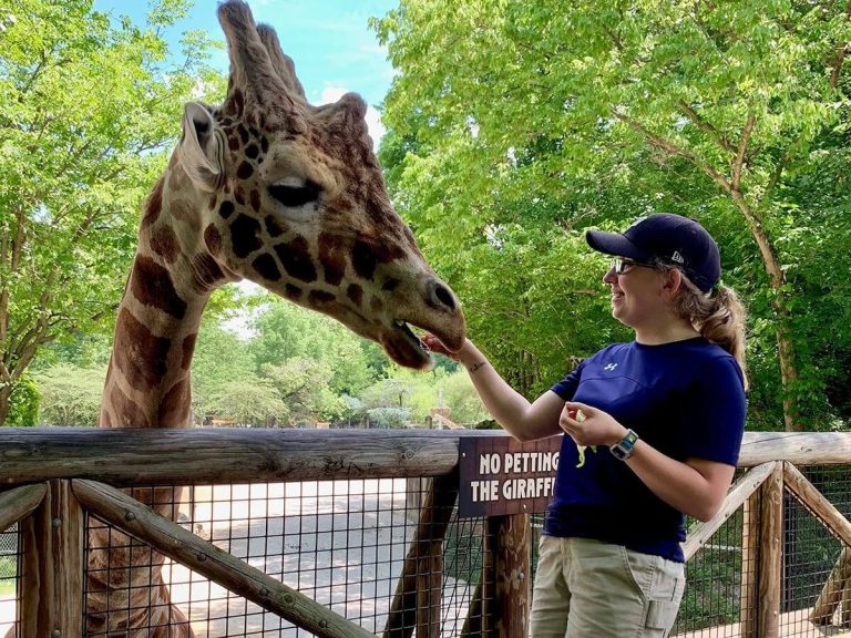How to Become a Zoologist