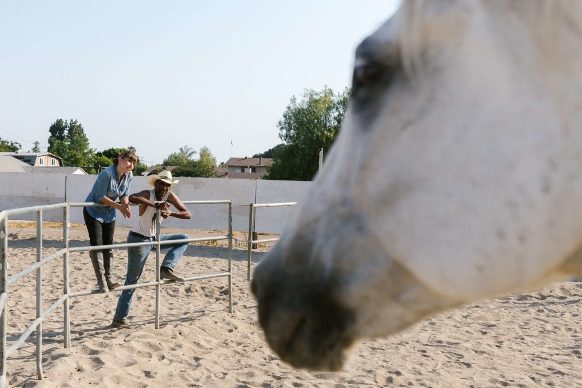Ranch Managers Looking At Horse