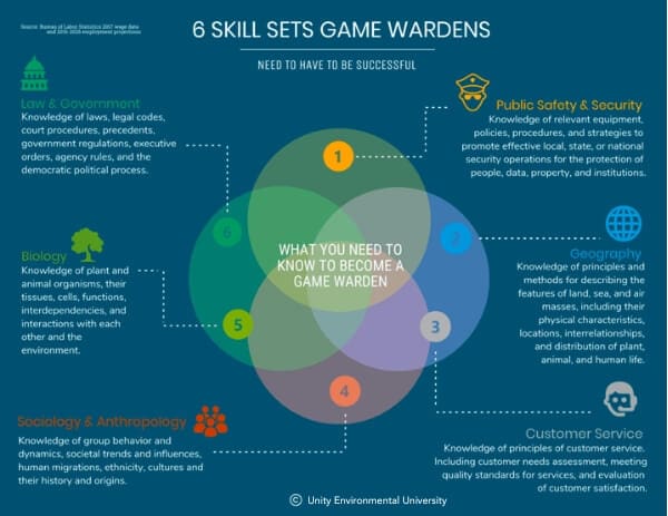 an infographic showing all the skill sets