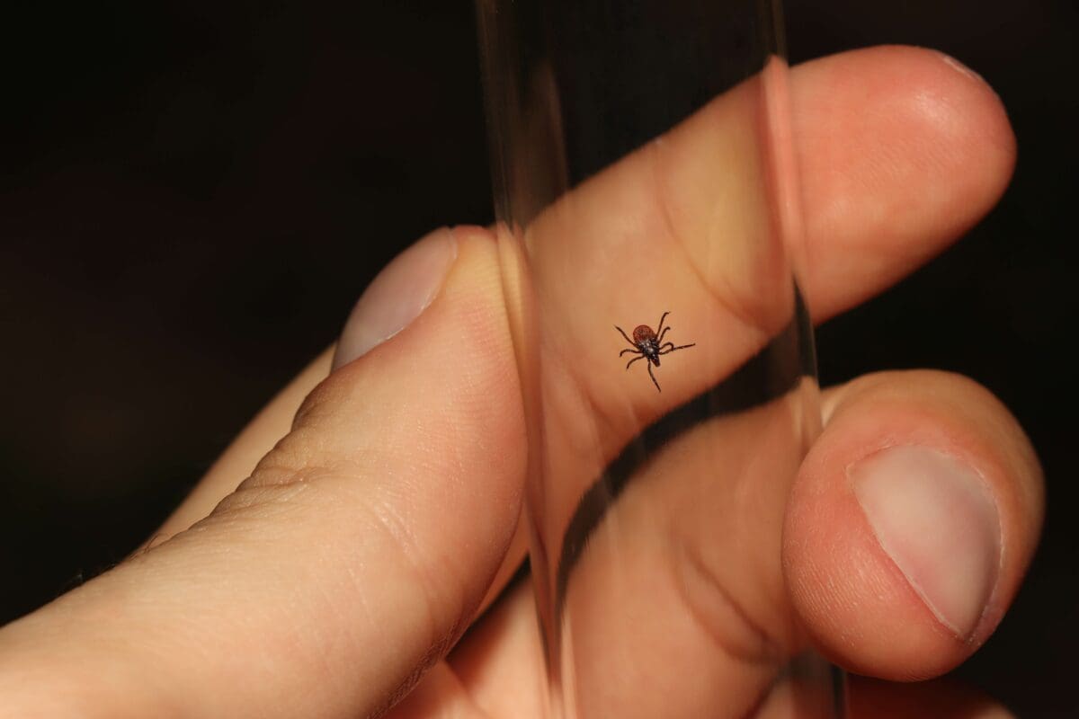 someone holding a glass tube with an insect inside