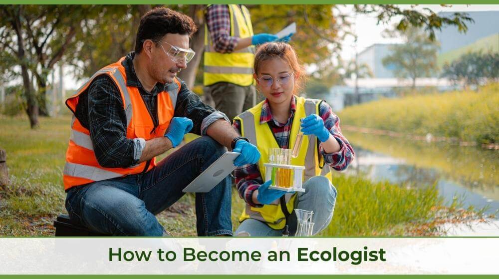 ecologists working by a river looking at a sample