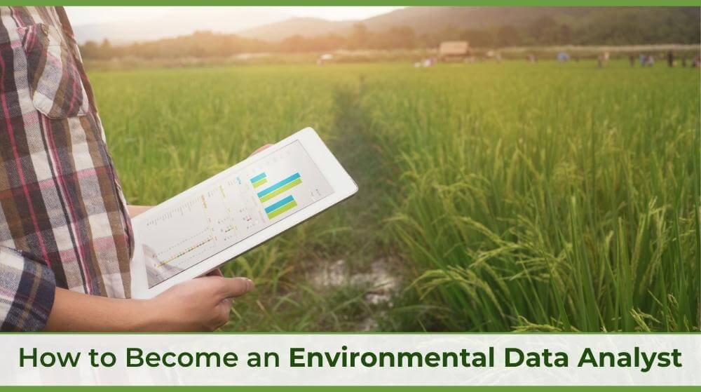 an environmental data analyst in a field with a tablet with data graphs