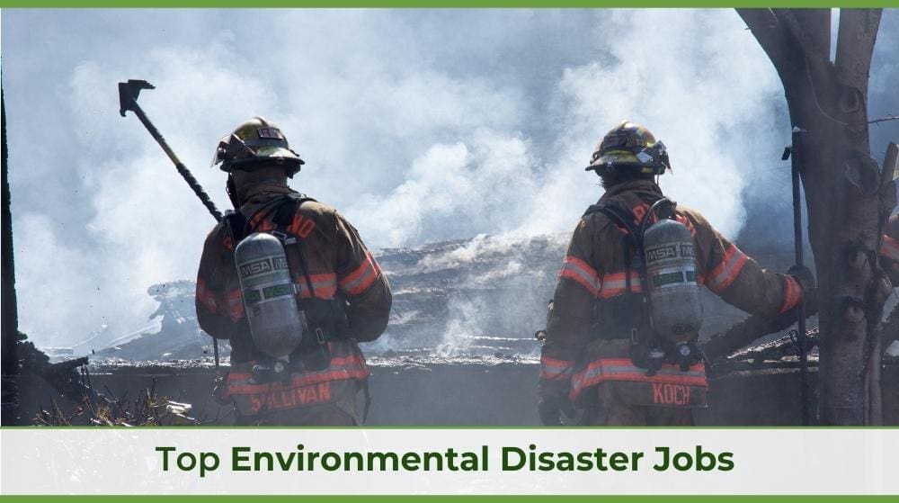 two firefighters looking at a smoking forest fire