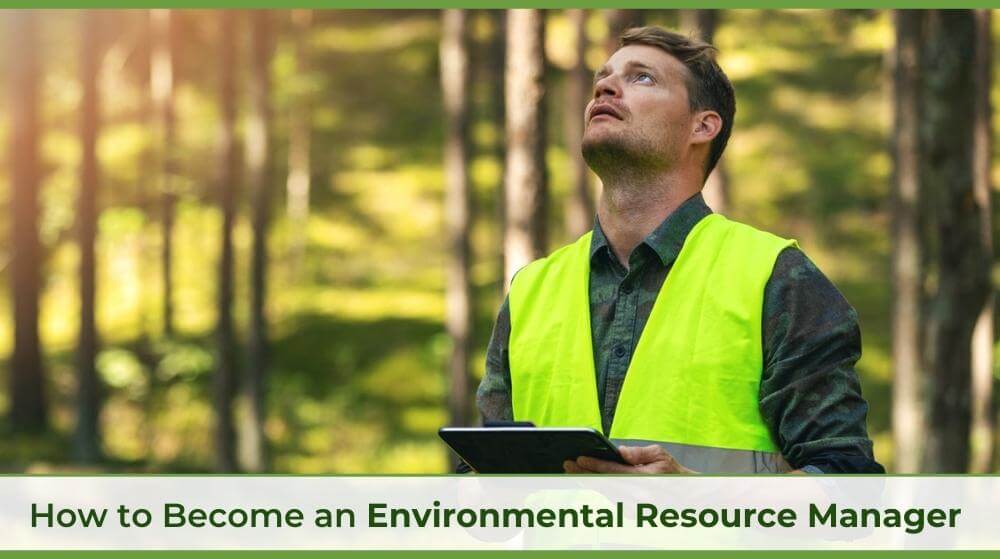 an environmental resource manager looking up at a tree in a forest