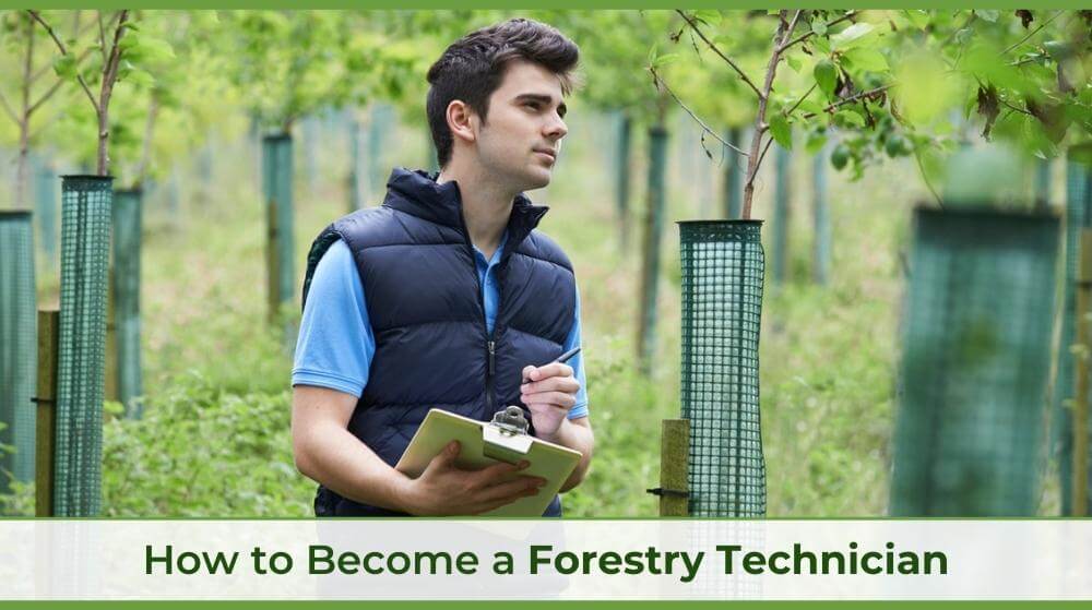 a forestry technician studying growing trees