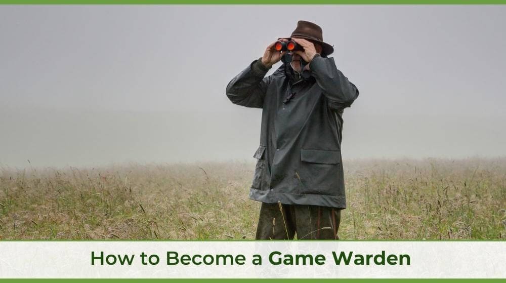 a game warden in a field with binoculars
