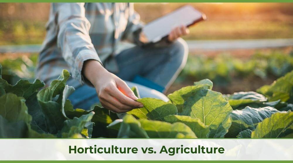 Unity Environmental University's horticulture vs agriculture blog cover with someone doing horticulture