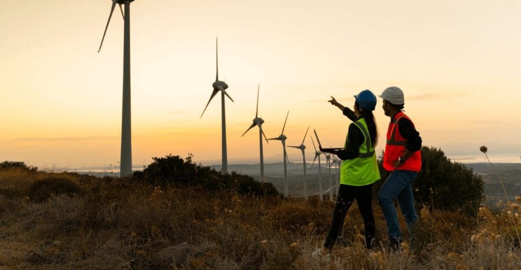 Renewable Energy Consultant