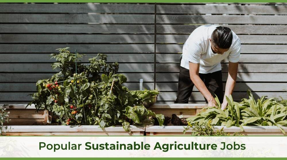 an urban farmer tending to his garden
