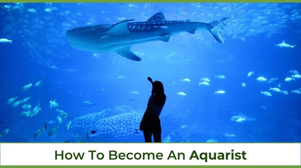 someone in an aquarium