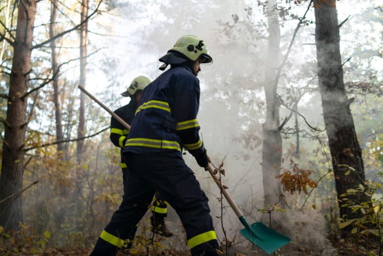 Fire Science Jobs