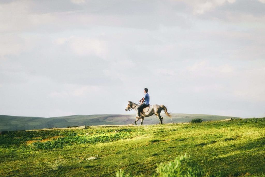 Jobs Working With Horses