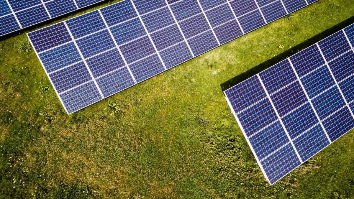 solar panels in a field