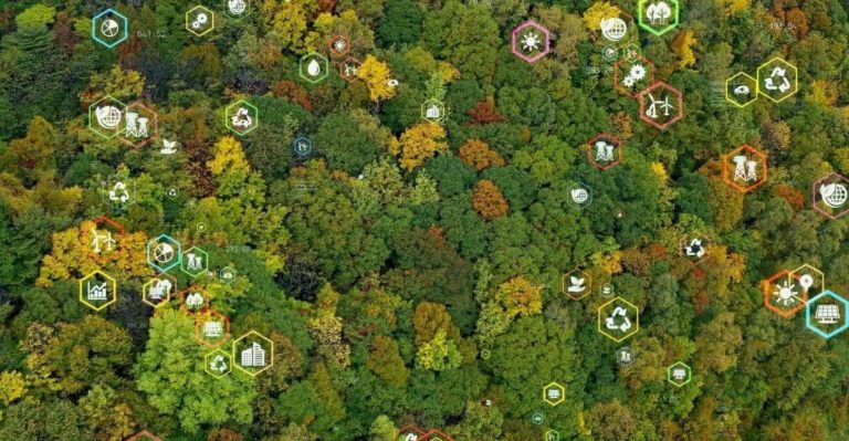 Environmental Data Analyst
