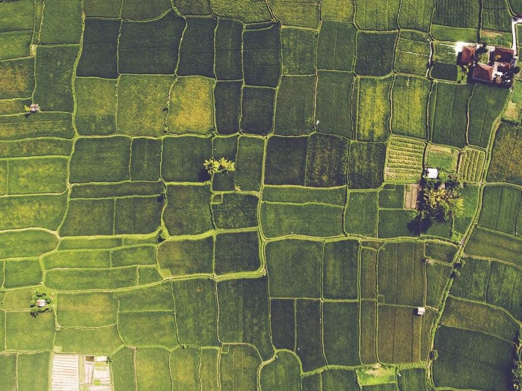 Agronomist