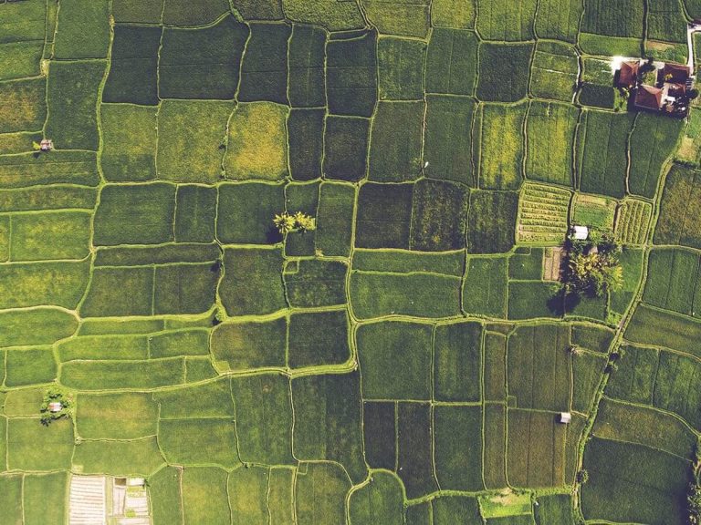 Agronomist