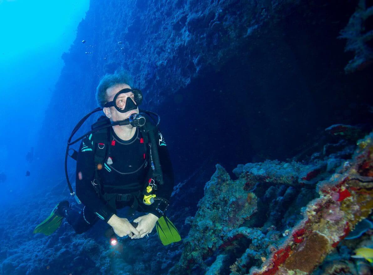 a marine biologist diving to study the ocean