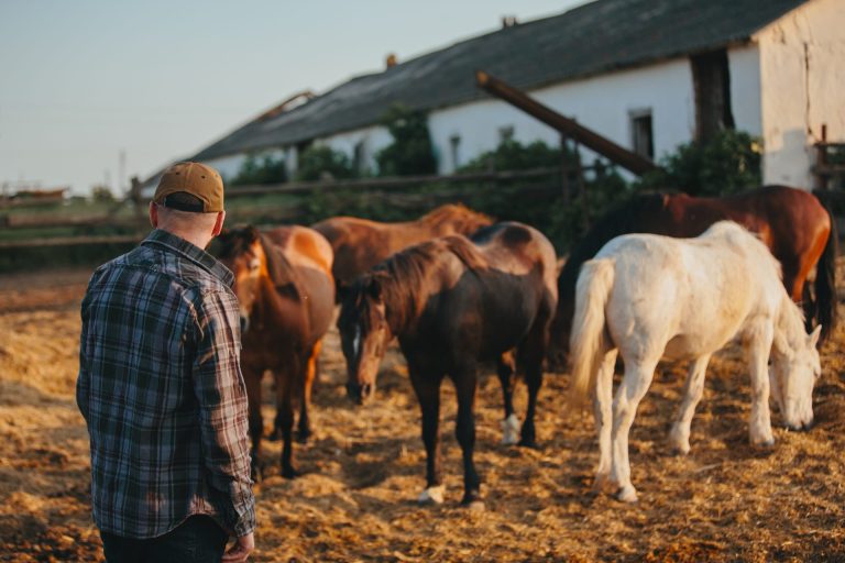 A farmer looks over a herd of horses on a ranch.